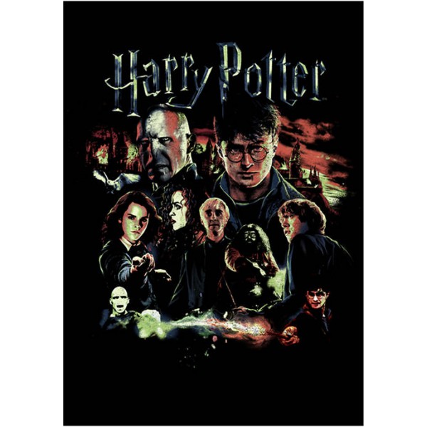 Harry Potter™ Harry Potter Hogwarts Club Fleece Graphic Hoodie