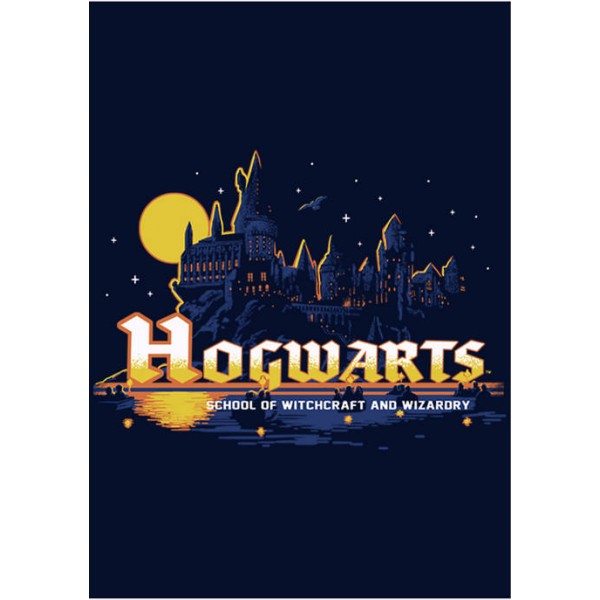 Harry Potter™ Harry Potter Navy Hogwarts Fleece Graphic Hoodie