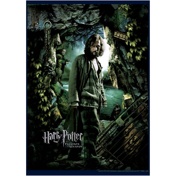 Harry Potter™ Harry Potter Sirius Azkaban Poster Crew Fleece Graphic Sweatshirt