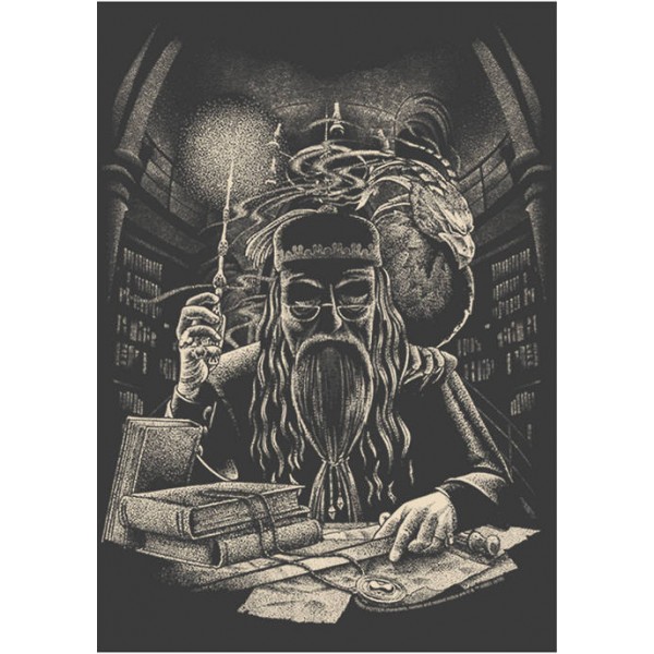 Harry Potter™ Harry Potter The Dumbledore Fleece Graphic Hoodie