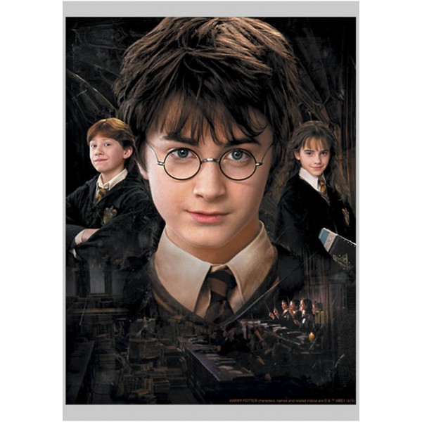 Harry Potter™ Harry Potter The Trio Crew Fleece Graphic Sweatshirt