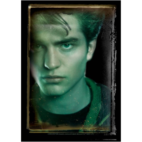 Harry Potter™ Harry Potter Cedric Portrait Graphic T-Shirt