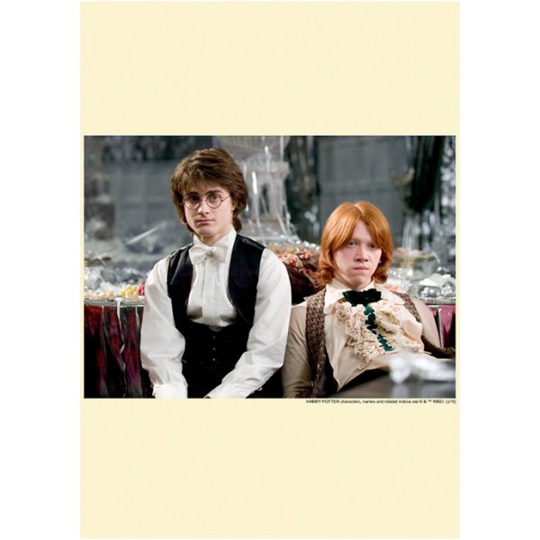 Harry Potter™ Harry Potter Harry and Ron Graphic T-Shirt