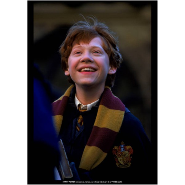 Harry Potter™ Harry Potter Ron Weasley Graphic T-Shirt