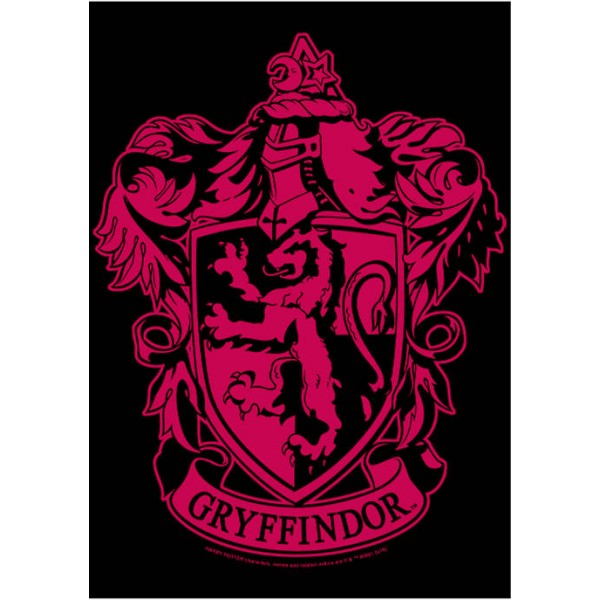 Harry Potter™ Harry Potter Simple Gryffindor Graphic T-Shirt