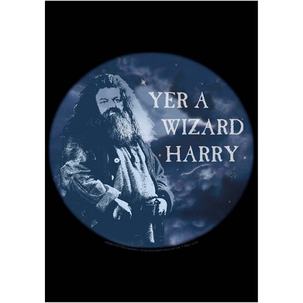 Harry Potter™ Harry Potter Yer A Wizard Graphic T-Shirt