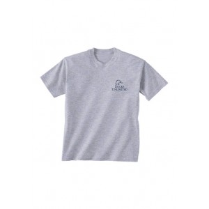 Gildan Softstyle Ducks Unlimited Short Sleeve Flag Decoy Graphic T-Shirt 