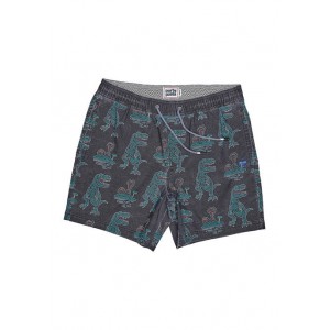 Party Pants T-Rex Neon Swim Shorts 