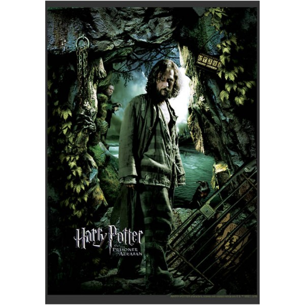 Harry Potter™ Harry Potter Sirius Azkaban Poster Graphic T-Shirt