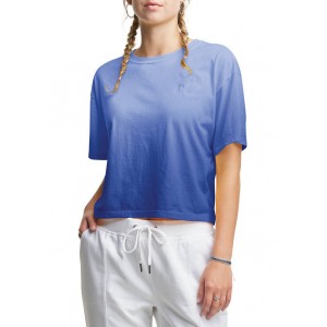 Champion® The Cropped Ombré T-Shirt 